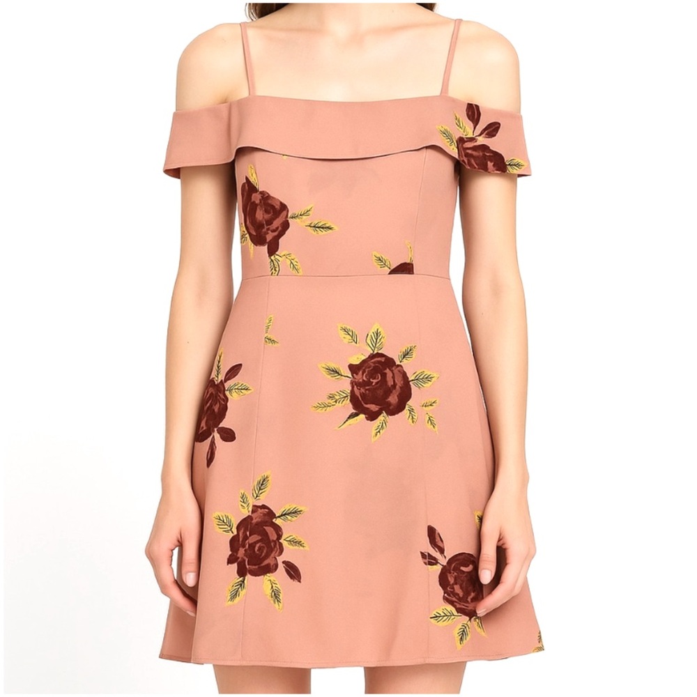 Amuse Society Dusty Rose Floral Off Shoulder Mini Dress A Line NWT XS